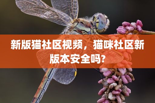 新版猫社区视频，猫咪社区新版本安全吗?