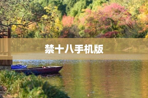 禁十八手机版