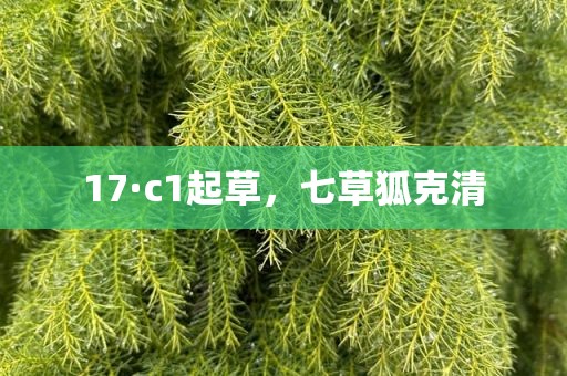 17·c1起草，七草狐克清