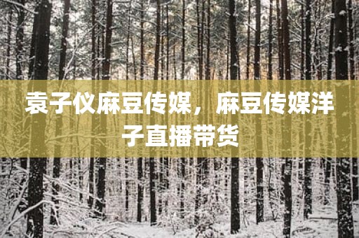 袁子仪麻豆传媒，麻豆传媒洋子直播带货
