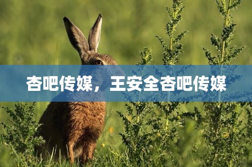 杏吧传媒，王安全杏吧传媒