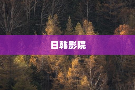 日韩影院