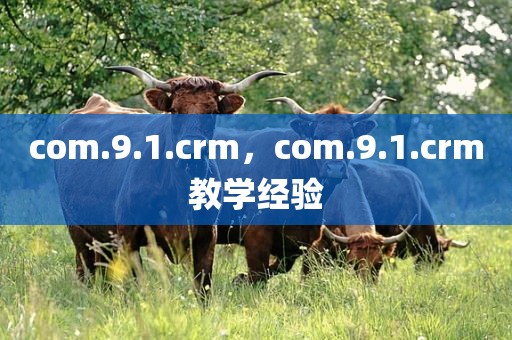 com.9.1.crm，com.9.1.crm教学经验