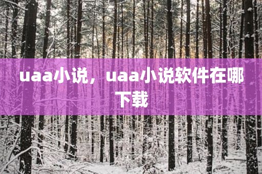 uaa小说，uaa小说软件在哪下载