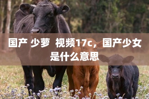 国产 少萝  视频17c，国产少女是什么意思