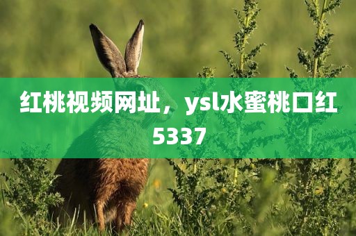 红桃视频网址，ysl水蜜桃口红5337