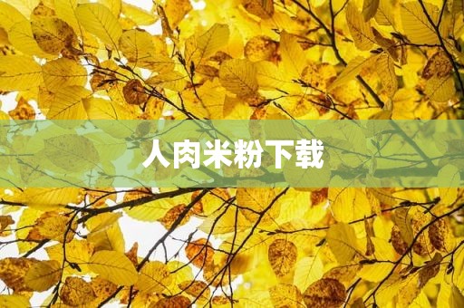 人肉米粉下载
