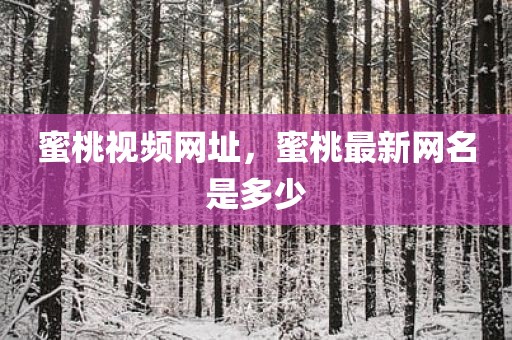 蜜桃视频网址，蜜桃最新网名是多少