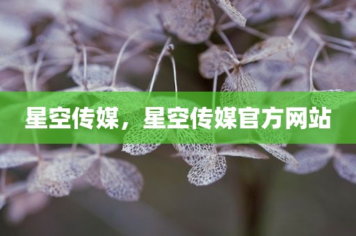 星空传媒，星空传媒官方网站