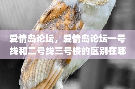 爱情岛论坛，爱情岛论坛一号线和二号线三号楼的区别在哪