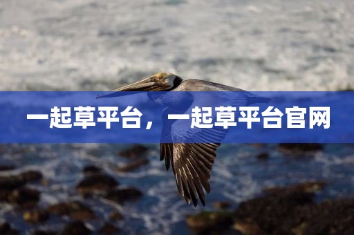 一起草平台，一起草平台官网