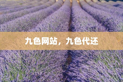 九色网站，九色代还