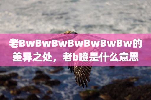 老BwBwBwBwBwBwBw的差异之处，老b噔是什么意思