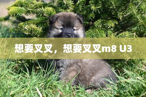 想要叉叉，想要叉叉m8 U3