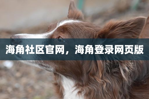 海角社区官网，海角登录网页版
