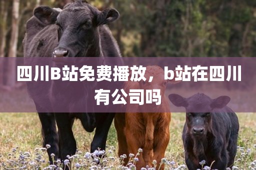 四川B站免费播放，b站在四川有公司吗