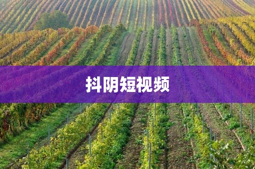 抖阴短视频