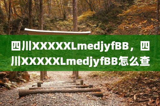 四川XXXXXLmedjyfBB，四川XXXXXLmedjyfBB怎么查