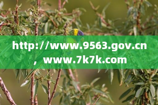 http://www.9563.gov.cn，www.7k7k.com