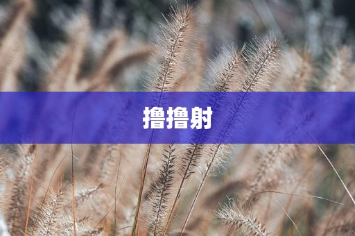 撸撸射