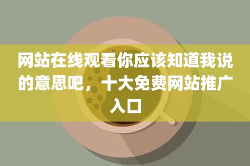网站在线观看你应该知道我说的意思吧，十大免费网站推广入口