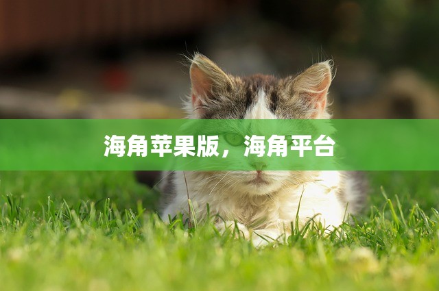 海角苹果版，海角平台