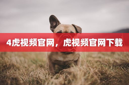 4虎视频官网，虎视频官网下载
