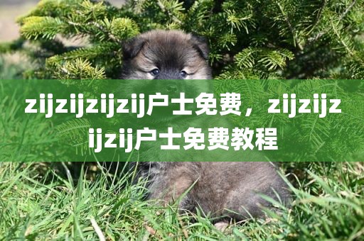 zijzijzijzij户士免费，zijzijzijzij户士免费教程