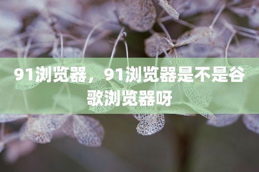 91浏览器，91浏览器是不是谷歌浏览器呀