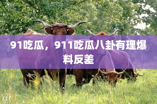 91吃瓜，911吃瓜八卦有理爆料反差