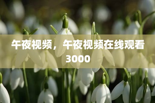 午夜视频，午夜视频在线观看3000