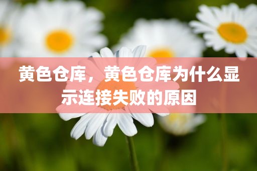 黄色仓库，黄色仓库为什么显示连接失败的原因
