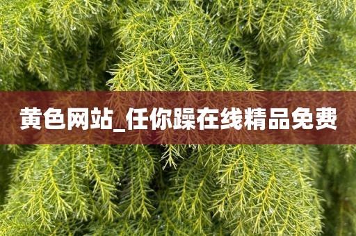 黄色网站_任你躁在线精品免费