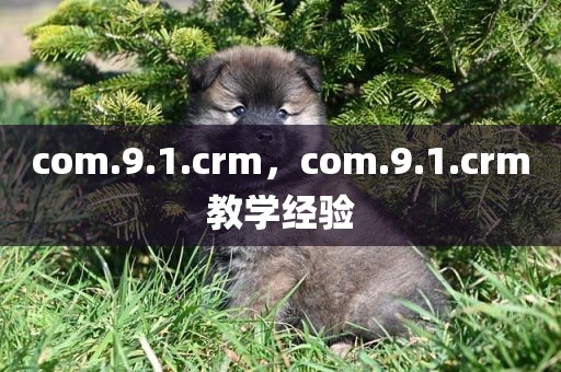 com.9.1.crm，com.9.1.crm教学经验