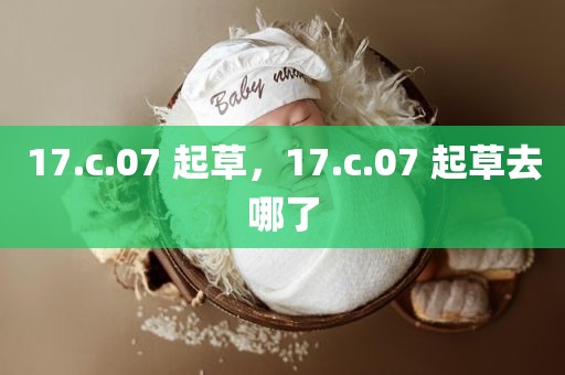 17.c.07 起草，17.c.07 起草去哪了