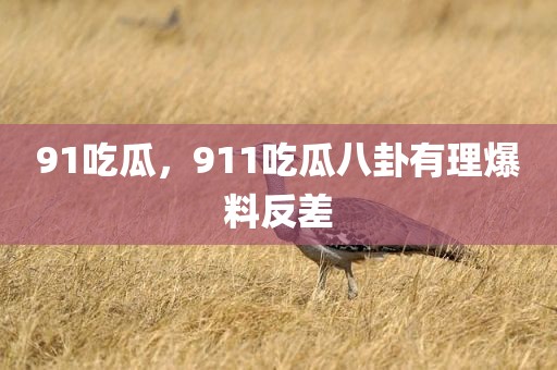 91吃瓜，911吃瓜八卦有理爆料反差