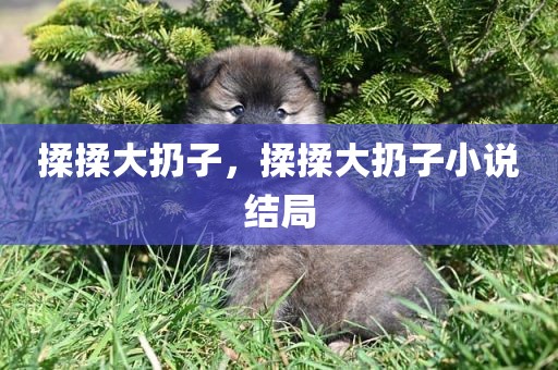 揉揉大扔子，揉揉大扔子小说结局