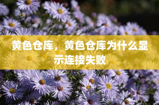 黄色仓库，黄色仓库为什么显示连接失败