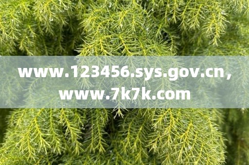 www.123456.sys.gov.cn，www.7k7k.com