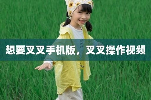 想要叉叉手机版，叉叉操作视频