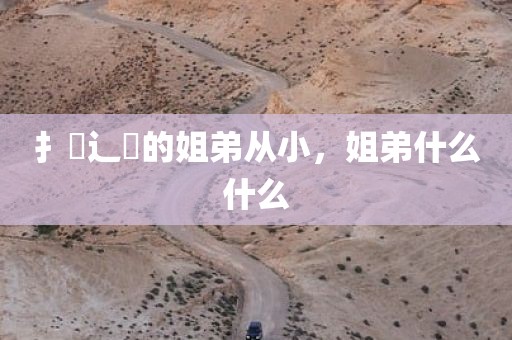 扌臿辶畐的姐弟从小，姐弟什么什么