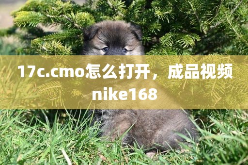 17c.cmo怎么打开，成品视频nike168
