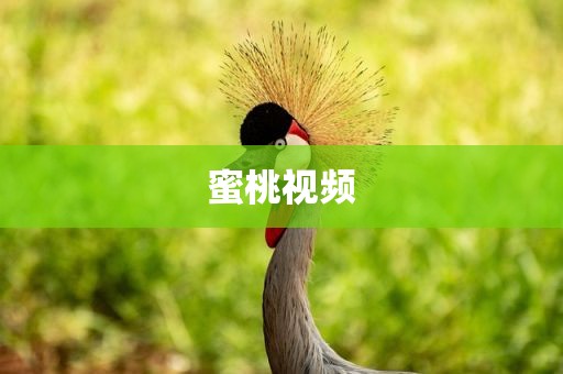 蜜桃视频