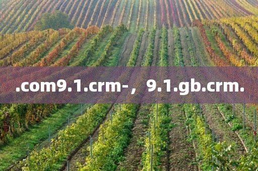 .com9.1.crm-，9.1.gb.crm.