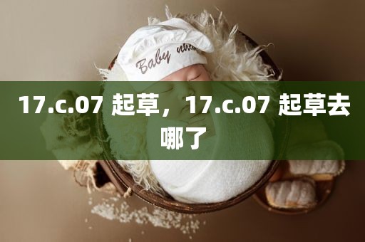 17.c.07 起草，17.c.07 起草去哪了