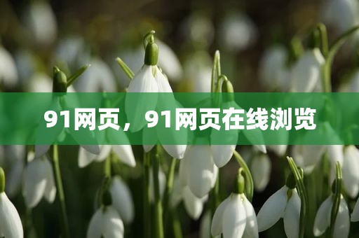 91网页，91网页在线浏览