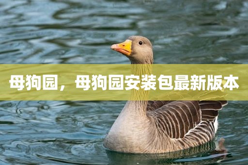 母狗园，母狗园安装包最新版本