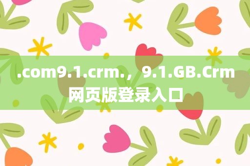 .com9.1.crm.，9.1.GB.Crm网页版登录入口