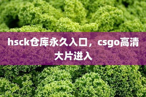 hsck仓库永久入口，csgo高清大片进入