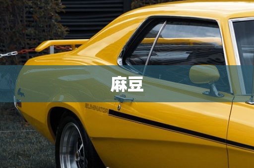 麻豆